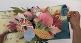 Shells: A Pop-Up Book of Wonder