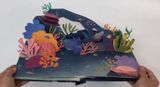 Shells: A Pop-Up Book of Wonder